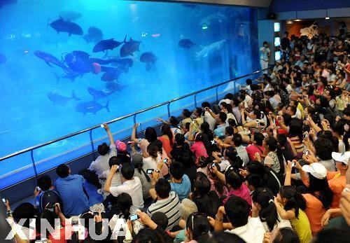 青島：火爆游“海底”