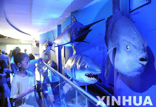 青島：火爆游“海底”