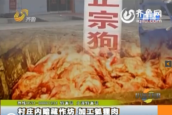 臨沂：村莊內暗藏小作坊 日加工死狐貍肉上百噸