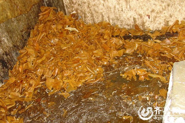 泰安檢察官揭秘“毒皮肚”案審判過程：制售者險逃法網