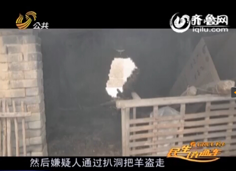 菏澤偷羊賊一夜扒洞偷走八只羊 轉手賣給親哥銷贓