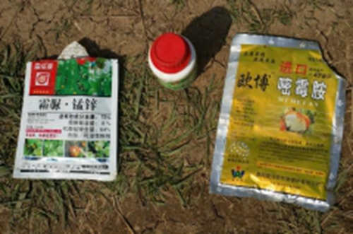 濟(jì)寧：錳鋅藥“毒倒”數(shù)畝甜瓜 廠家稱不是藥的問題