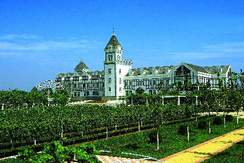 中國進入葡萄酒酒莊“戰(zhàn)國時代”