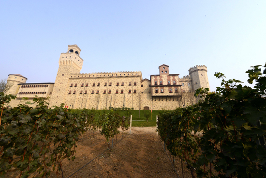 陜西張裕瑞那城堡酒莊開業