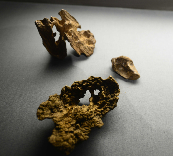 頂級珍貴沉香亮相山東博物館