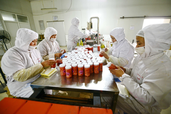 山東萊蕪：拉長(zhǎng)生姜產(chǎn)業(yè)鏈條