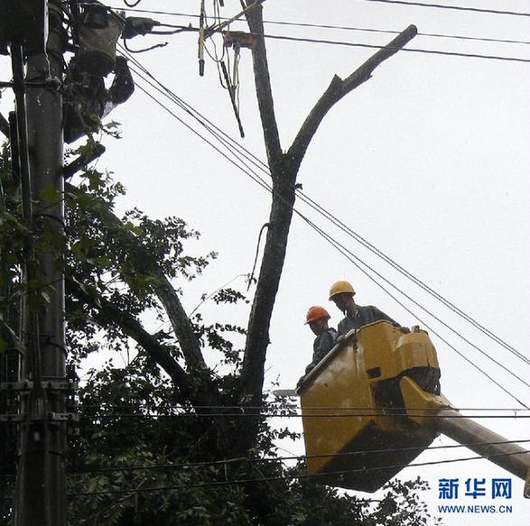 上海全市汛情基本平穩