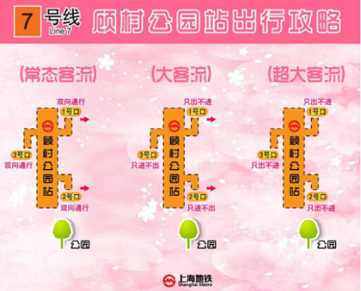 櫻花節帶動7號線客流 顧村公園站將視情況限流