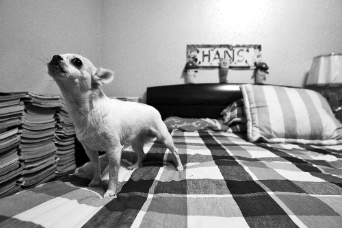 中國小伙報(bào)瑞士老人萍水恩情 接其回國養(yǎng)老送終