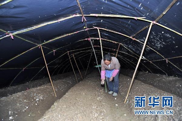 貴州10個(gè)縣區(qū)遭受冰雹災(zāi)害 損失嚴(yán)重