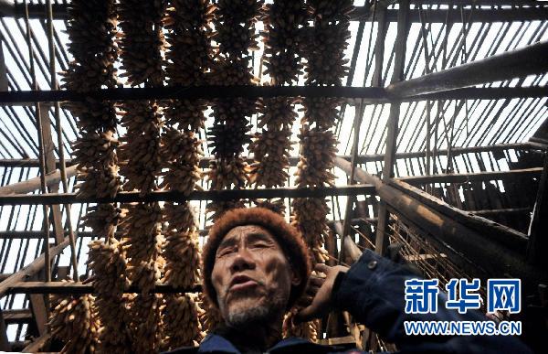 貴州10個(gè)縣區(qū)遭受冰雹災(zāi)害 損失嚴(yán)重