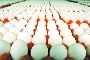 看看國外保障食品安全的五大招數(shù)