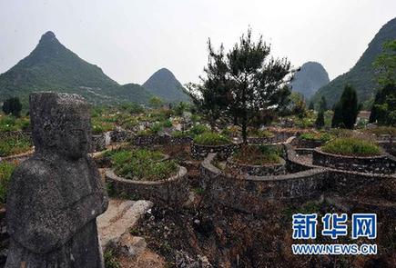 6萬座私墳入侵靖江王陵 國家級保護單位亂象叢生