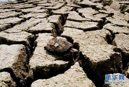 長(zhǎng)江中游遭罕見旱情