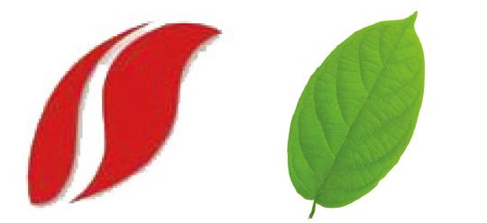 河南衛(wèi)視啟用