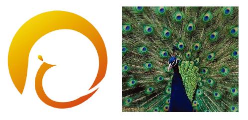 河南衛(wèi)視啟用