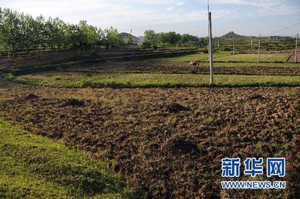 調查:千湖之省遭遇大旱之痛(組圖)