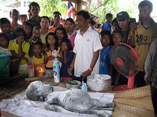 盤點那些真真假假的“外星人”事件(組圖)