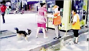 環衛工遭狗主人追罵