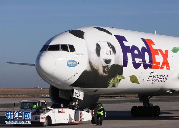 中國(guó)贈(zèng)法大熊貓