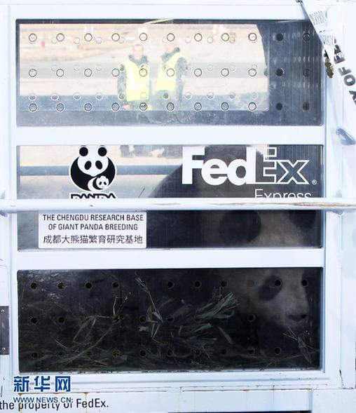 中國(guó)贈(zèng)法大熊貓