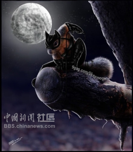 元芳很忙！細(xì)數(shù)那些一個不小心就火起來的“忙人”