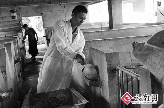 大學(xué)生返鄉(xiāng)養(yǎng)豬白手起家艱難創(chuàng)業(yè) 5年產(chǎn)值近百萬