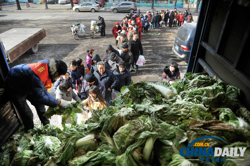 山西太原：愛心大白菜 免費送市民