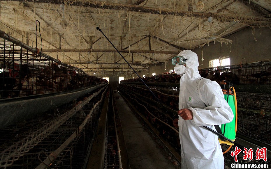 安徽舉行人感染H7N9禽流感應(yīng)急演練