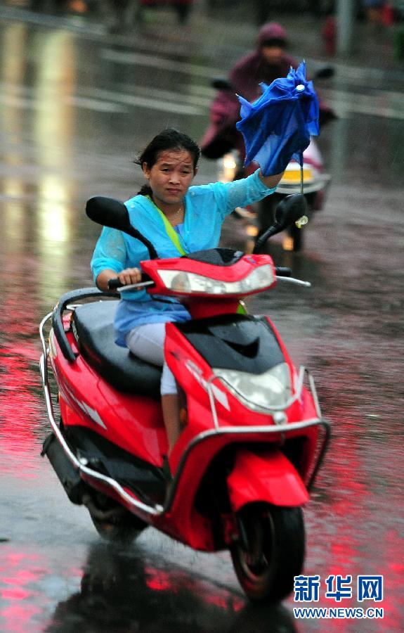強熱帶風(fēng)暴“飛燕”登陸海南 街邊大樹被連根拔起