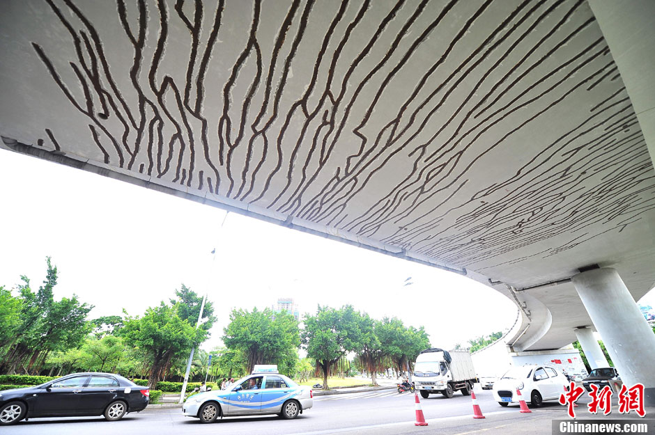 海口一引橋現(xiàn)200余條裂縫 官方回應(yīng)稱不影響通車安全[組圖]