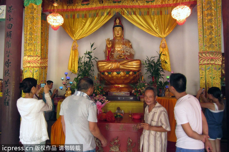 福建南靖縣：觀音長平菇 似“祥云”引圍觀