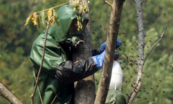 北京突發(fā)環(huán)境事件應(yīng)急預(yù)案頒布 大氣污染首次列入