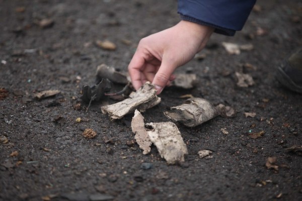河南連霍大橋垮塌致10死 9個月未公布處理結果