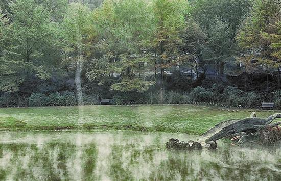 西湖水面騰起一根霧柱 網(wǎng)友：拍出仙氣來了