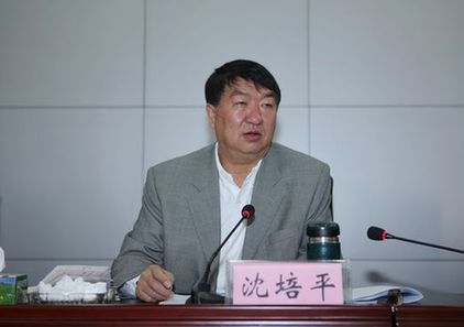 云南原副省長沈培平的學歷之謎：博士到教授僅花5個月