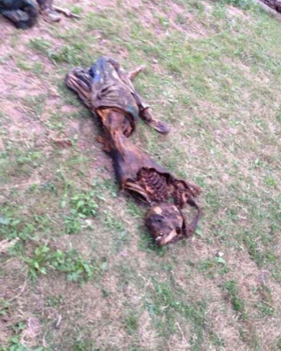 東陽廣告高炮上懸掛一具干尸