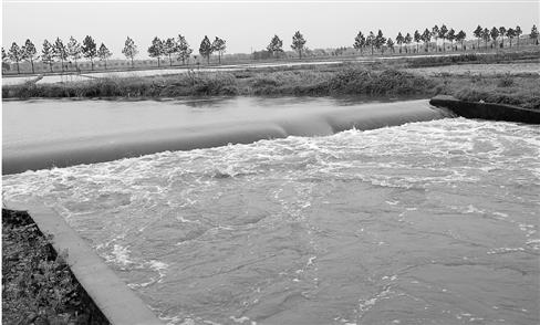 錢塘江上游溪水被倒牛糞 村民稱洗衣服后穿了發癢