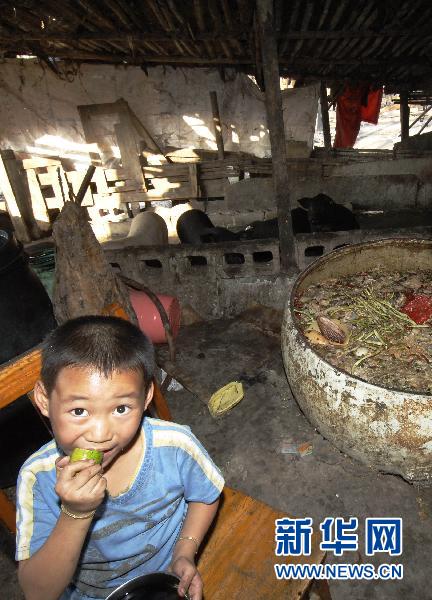 三亞回應最大棚戶區被強拆事件:政府沒有義務賠償