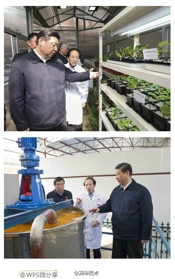 習近平在湖南考察時強調:深化改革開放推進創新驅動 實現全年經濟社會發展目標