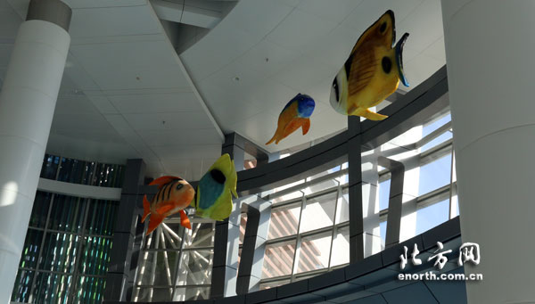 天津市兒童醫院門急診5月28日上午8點整停診