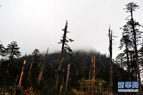 徒步墨脫與冰雪高原的親密接觸