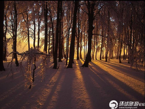 美得令人窒息的雪景(組圖)