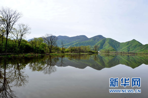 神農架高山濕地大九湖掠影