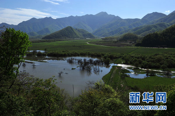 神農架高山濕地大九湖掠影