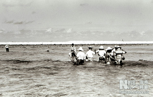 珍貴！1991年西沙科考海量歷史照