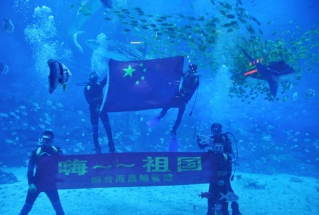 企鵝的感動　全國8強總決賽拉開帷幕