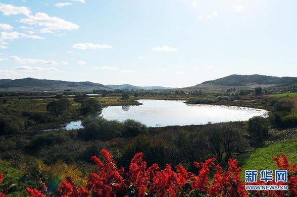 組圖：美麗的雁鳴湖濕地