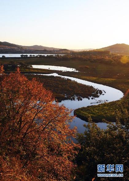 組圖：美麗的雁鳴湖濕地