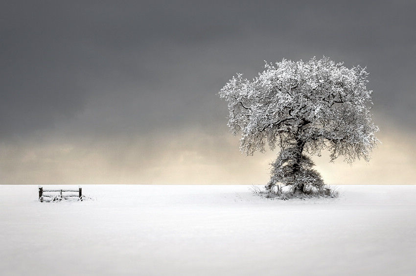 頂級(jí)攝影：眼球與心靈的雙重震撼(高清)